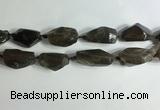 CNG7955 15.5 inches 15*25mm - 20*40mm nuggets smoky quartz beads