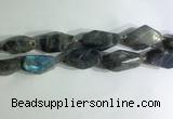 CNG7964 15.5 inches 15*25mm - 20*40mm nuggets labradorite beads