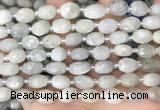 CNG8530 15.5 inches 8*9mm - 9*11mm faceted nuggets moonstone beads