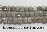 CNG8615 10*13mm - 12*16mm faceted freeform moonstone beads