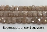 CNG8616 10*13mm - 12*16mm faceted freeform moonstone beads