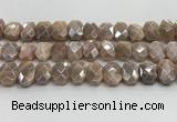 CNG8617 10*13mm - 12*16mm faceted freeform AB-color moonstone beads