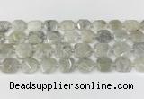 CNG8806 15.5 inches 16mm - 20mm faceted freeform moonstone beads