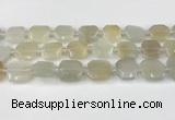 CNG8807 15.5 inches 16mm - 20mm faceted freeform moonstone beads