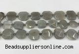 CNG8809 15.5 inches 16mm - 20mm faceted freeform moonstone beads