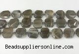 CNG8810 15.5 inches 16mm - 20mm faceted freeform moonstone beads