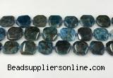 CNG8821 15.5 inches 16mm - 20mm faceted freeform apatite beads