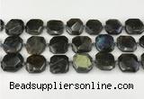 CNG8824 15.5 inches 16mm - 20mm faceted freeform labradorite beads