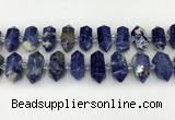 CNG8903 10*25mm - 14*30mm faceted nuggets sodalite beads