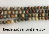 CNI370 15.5 inches 6mm round American picture jasper beads