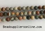 CNI372 15.5 inches 10mm round American picture jasper beads