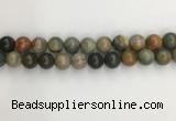 CNI373 15.5 inches 12mm round American picture jasper beads