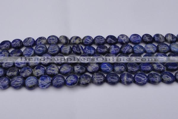 CNL1105 15.5 inches 10mm flat round lapis lazuli gemstone beads