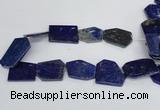 CNL1515 15.5 inches 30*35mm - 35*45mm freeform lapis lazuli beads