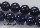 CNL232 15.5 inches 14mm round natural lapis lazuli beads wholesale