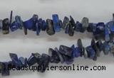 CNL244 15.5 inches 3*10mm chip natural lapis lazuli beads wholesale