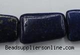 CNL675 15.5 inches 20*30mm trapezoid natural lapis lazuli beads