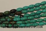 CNT117 15.5 inches 4*8mm rice natural turquoise beads wholesale