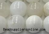 COP1733 15.5 inches 12mm round white opal beads wholesale