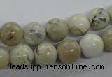 COP803 15.5 inches 10mm round natural African opal beads