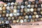 CPB1031 15.5 inches 8mm round pietersite beads wholesale