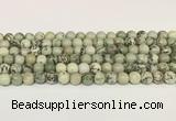 CPJ701 15.5 inches 6mm round greeting pine jasper beads