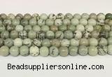 CPJ702 15.5 inches 8mm round greeting pine jasper beads