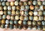 CPJ710 15.5 inches 12mm round rocky butte picture jasper beads