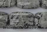 CPT182 15.5 inches 20*30mm rectangle grey picture jasper beads