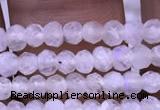 CRB1964 15.5 inches 2*3mm faceted rondelle white moonstone beads