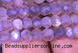 CRB1981 15.5 inches 3*5mm faceted rondelle labradorite beads