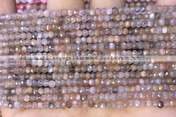 CRB2219 15.5 inches 2*3mm faceted rondelle moonstone beads