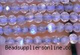 CRB2660 15.5 inches 1.5*2mm faceted rondelle labradorite beads