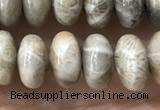 CRB5336 15.5 inches 5*8mm rondelle fossil coral beads wholesale