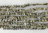 CRG31 15.5 inches 6mm flat star sesame jasper beads wholesale