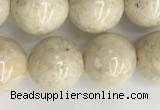 CRJ623 15.5 inches 10mm round white fossil jasper beads wholesale