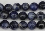 CRO239 15.5 inches 10mm round sodalite gemstone beads wholesale