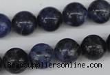 CRO344 15.5 inches 12mm round sodalite gemstone beads wholesale