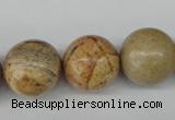 CRO485 15.5 inches 18mm round picture jasper beads wholesale