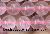 CRQ417 15.5 inches 8mm round rose quartz beads wholesale