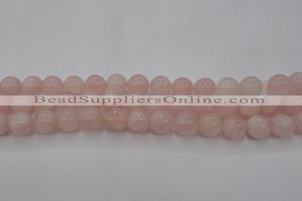 CRQ672 15.5 inches 10mm round rose quartz beads wholesale