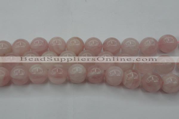 CRQ676 15.5 inches 16mm round rose quartz beads wholesale