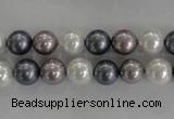 CSB1030 15.5 inches 8mm round mixed color shell pearl beads