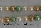 CSB1039 15.5 inches 8mm round mixed color shell pearl beads