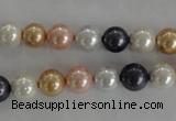 CSB1042 15.5 inches 8mm round mixed color shell pearl beads