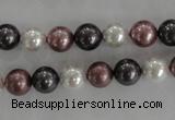 CSB1045 15.5 inches 8mm round mixed color shell pearl beads