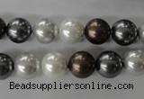 CSB1054 15.5 inches 10mm round mixed color shell pearl beads