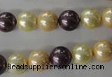 CSB1072 15.5 inches 10mm round mixed color shell pearl beads