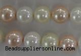 CSB1092 15.5 inches 12mm round mixed color shell pearl beads