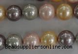 CSB1093 15.5 inches 12mm round mixed color shell pearl beads